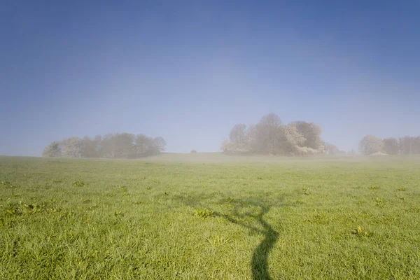 在雾气中升起的田野 春天的草地和森林 雾气和破晓的阳光 — 图库照片