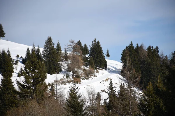 Winter Sports Winter Snow Ski Area Mountain Zettersfeld Lienz Lift — стоковое фото