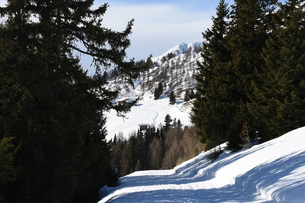 Winter Sports Ski Slope Ski Area Piste Mountain Zettersfeld Lienz — Stock Photo, Image