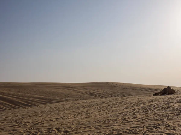 Sivatag Abu Dhabi Ban — Stock Fotó
