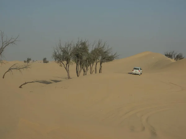 Sivatag Abu Dhabi Ban — Stock Fotó