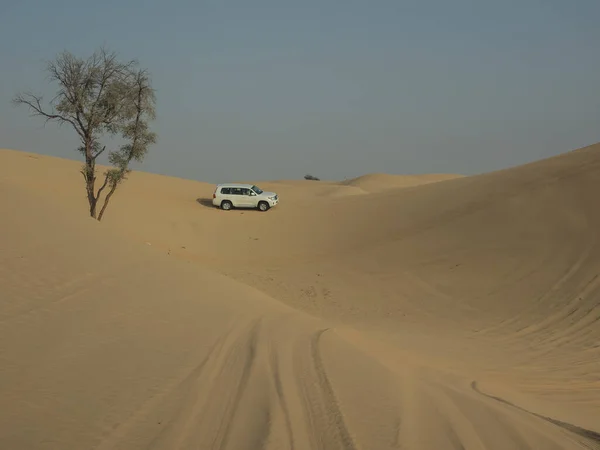 Пустыня Абу Даби — стоковое фото