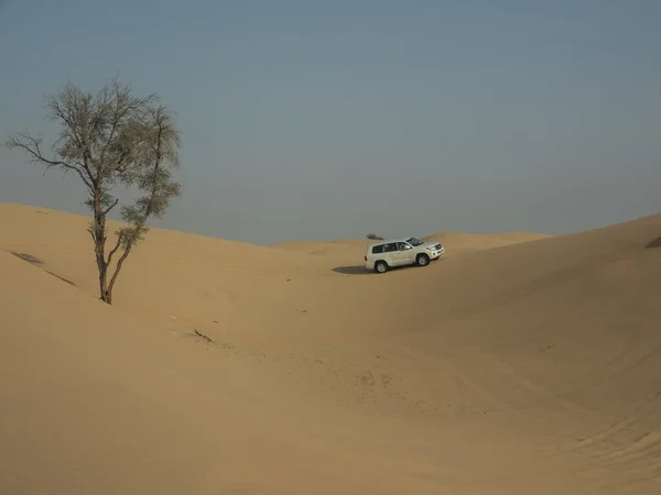 Deserto Abu Dhabi — Fotografia de Stock