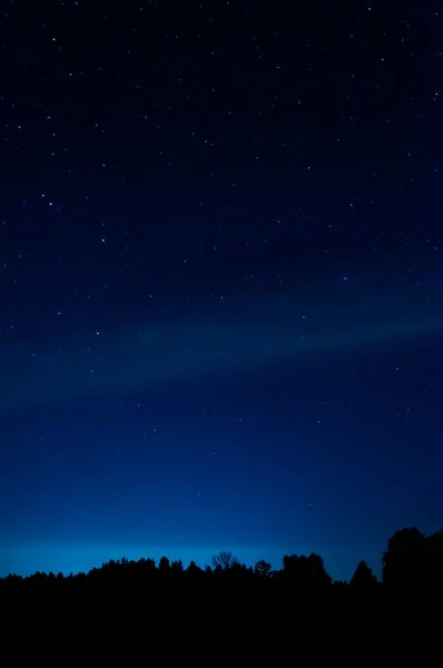 Stelle Foresta Riconoscibile Come Silhouette — Foto Stock