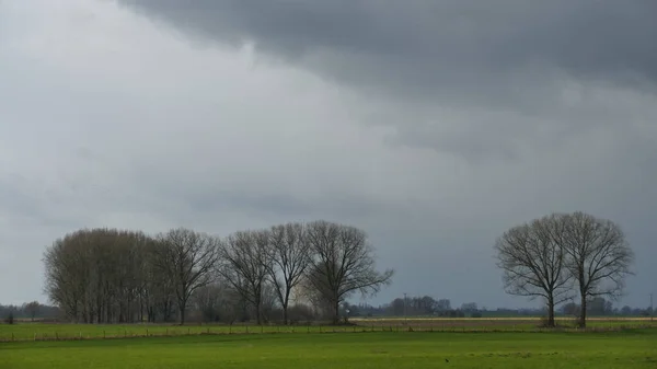 Bela Paisagem Natureza Rural — Fotografia de Stock