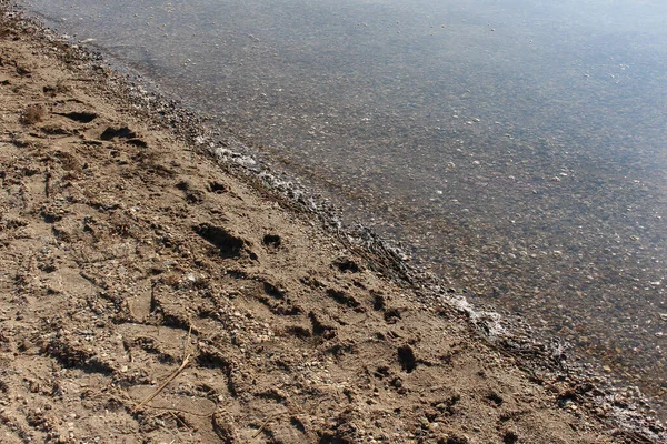 Sandstrand Und Wasser Cospudener See Leipzig — Stockfoto