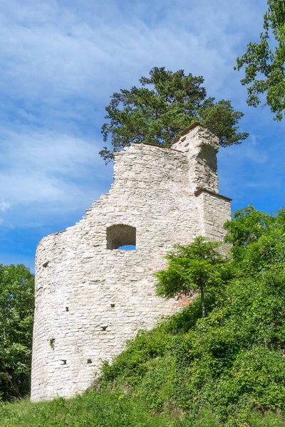 Torre Redonda Las Ruinas Del Castillo Wehrstein Sulz Fischingen Alemania —  Fotos de Stock