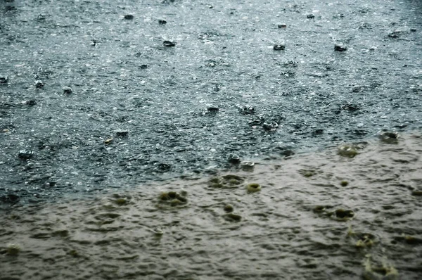 Rain Slams Street Raindrops Visible Foreground Dirty Puddle — Stock Photo, Image