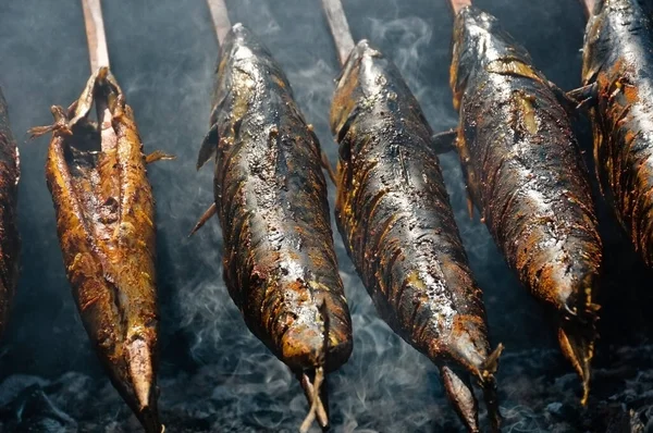 Mackerel Com Espeto Madeira Grelha — Fotografia de Stock