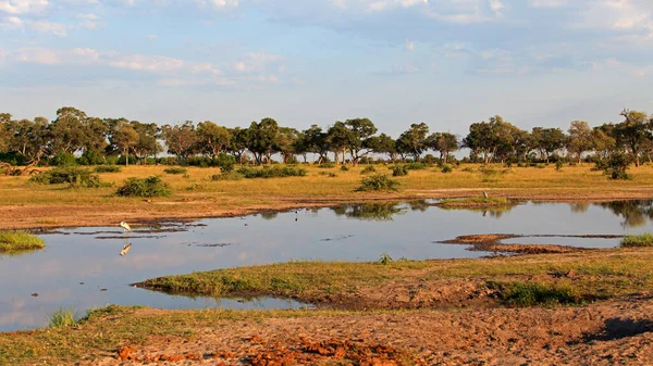 Het Nationaal Park Chobe — Stockfoto