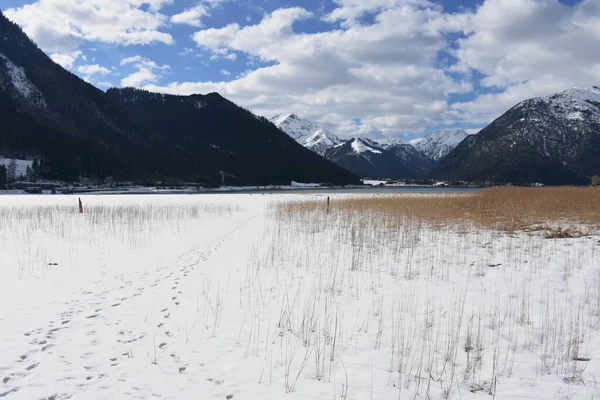 Achensee Jezioro Alpejskie Jezioro Górskie Zima Niska Woda Jezioro Górskie — Zdjęcie stockowe