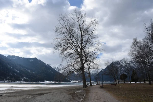 Achensee Invierno Agua Baja Lago Montaña Jetty Envío Orilla Juncos —  Fotos de Stock