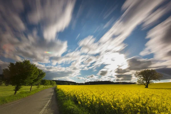 Floración Campos Colza Con Largas Sombras Hermosas Nubes Una Exposición — Foto de Stock