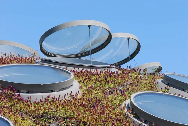 サンフランシスコの研究所の屋根 — ストック写真