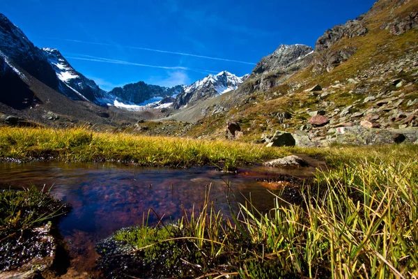 斯图拜山谷的呼和峰是欧洲海拔超过2000米的最高苔藓 — 图库照片