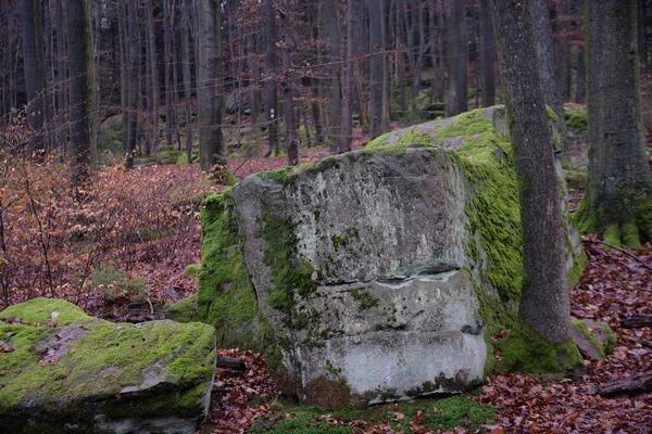 Ebersberger Felsenmeer Felsenmeer Ebersberberg Erberch Odenwald Bullau Feslen — ストック写真