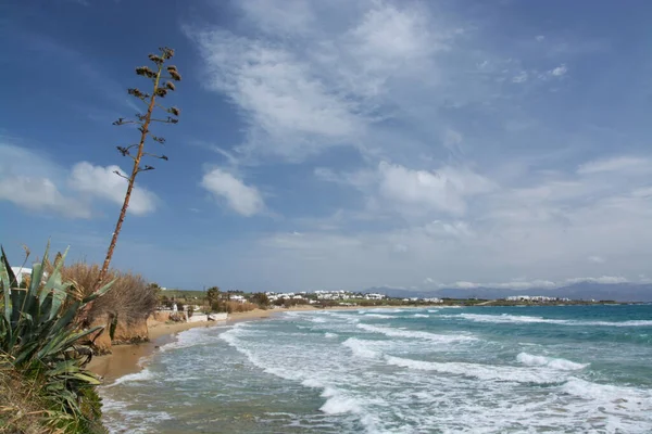 Golden Beach Uma Praia Muito Popular Ilha Paros Grécia — Fotografia de Stock