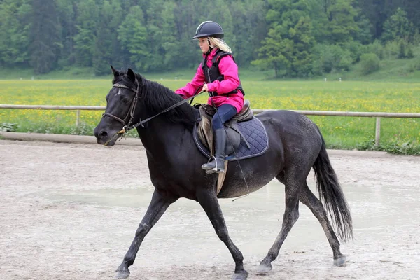 Menina Trens Com Cavalo — Fotografia de Stock