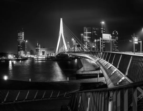 Rotterdamský Panorama Mostem Erasmus — Stock fotografie