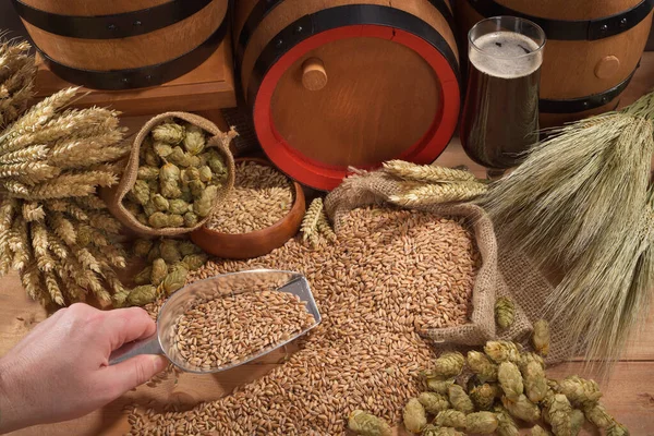 Bira Bira Fıçıları Buğday Arpa Zıpla Malt — Stok fotoğraf