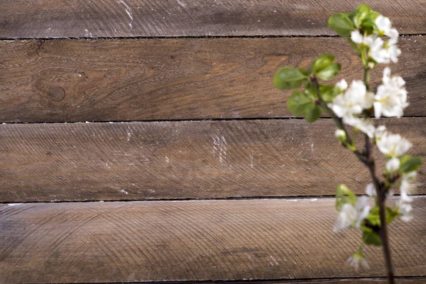 Foto Des Hölzernen Hintergrunds Mit Blühenden Weißen Blumen — Stockfoto