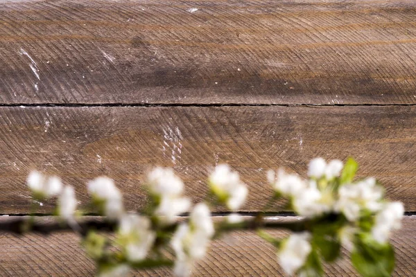 Foto Des Hölzernen Hintergrunds Mit Blühenden Weißen Blumen — Stockfoto