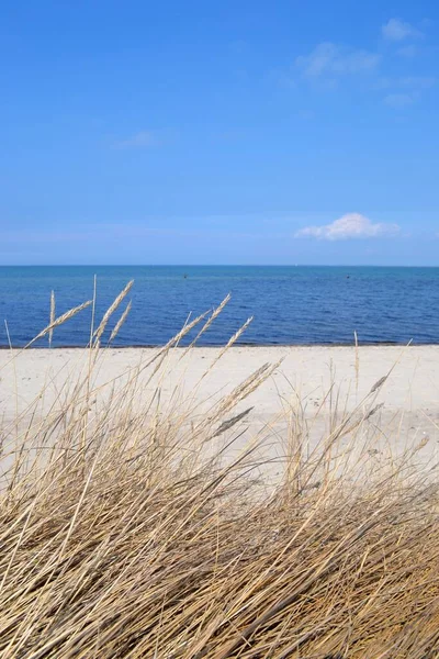 Пляж Балтике — стоковое фото