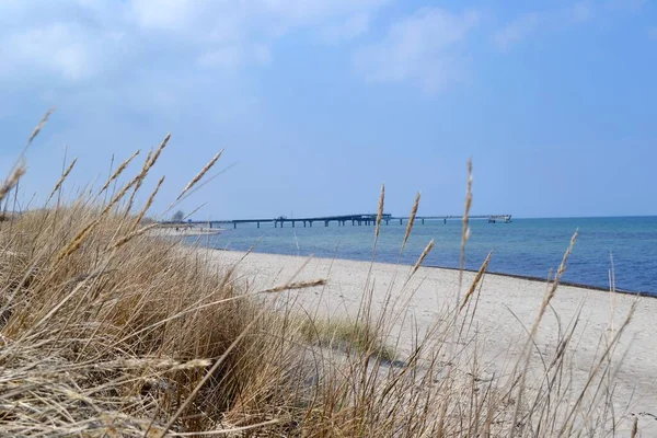 Heiligenhafen Plage Sur Mer Baltique — Photo