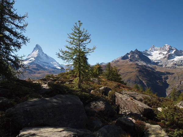 Matterhorn Sunegga Fehér Szarva — Stock Fotó