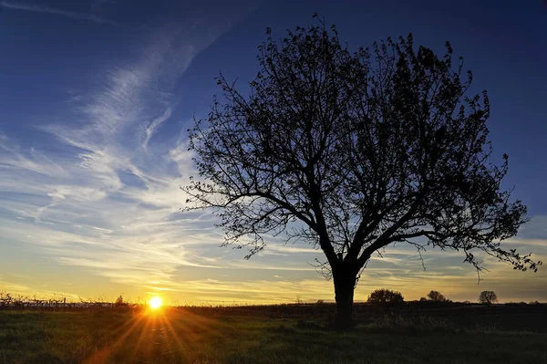 Belo Céu Nublado Fundo — Fotografia de Stock