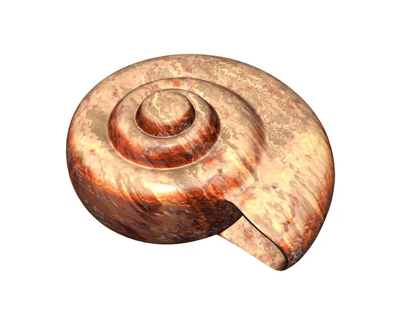 Wooden Snail Isolated White Background — Stock Photo, Image