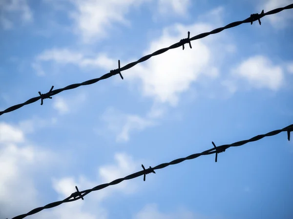 Zwei Diagonal Über Das Bild Verlaufende Stacheldrähte Vor Blauem Himmel — Stockfoto