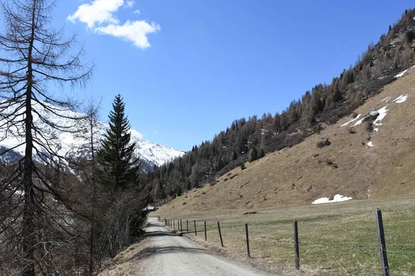 Grossglockner Alm Alpine Huts Farm Mountain Farm Kals Kdnitztal Hohe — стоковое фото