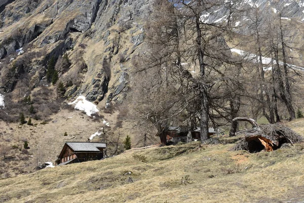 Grossglockner Alm Refugios Alpinos Granjas Granjas Montaña Kals Kdnitztal Parque — Foto de Stock