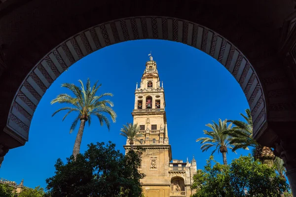 Bell Tower Mezquita Mosque Cathedral Cordoba Spain — Stock Photo, Image