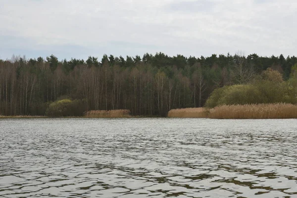 Paysage Rivière Avec Les Arbres Lac — Photo