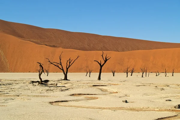 Dödens Dal Namiböknen Namibia — Stockfoto