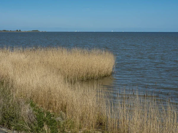 Enkhuizen Ijsselmeer Holandii — Zdjęcie stockowe