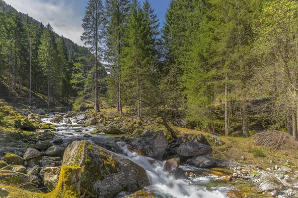 Fiume Montagna Nelle Montagne Dei Carpazi — Foto Stock