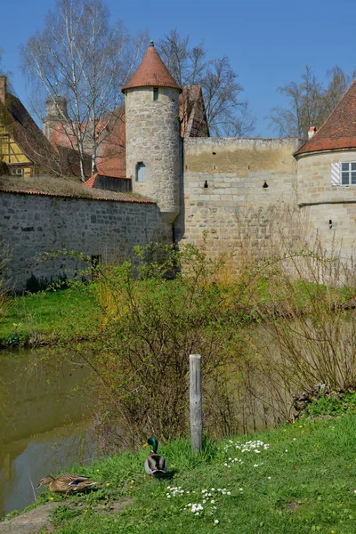 Old Castle Spring — Stock Photo, Image