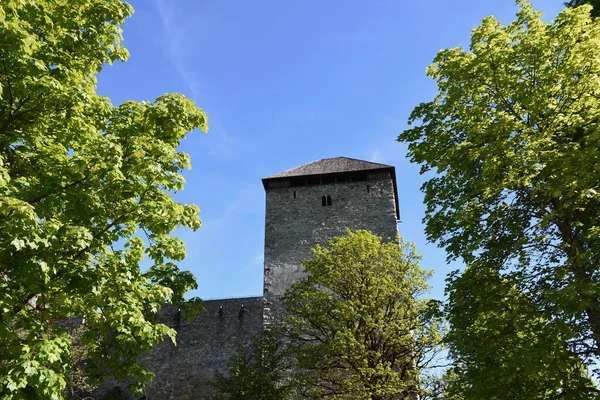 Kaprun Kaprun Castle Castle Castle Burgfried Castle Wall Tower Moat — стокове фото