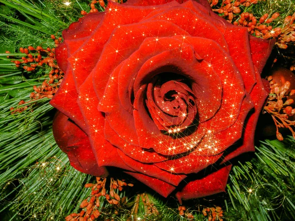 Dekorativní Uspořádání Včetně Červené Jiskřivé Růže Květinové Atmosféře — Stock fotografie