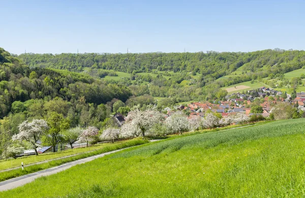 南ドイツの地域 ホーエンローエにあるKocherstettenという町を含む牧歌的な晴れた春の時間の風景 — ストック写真