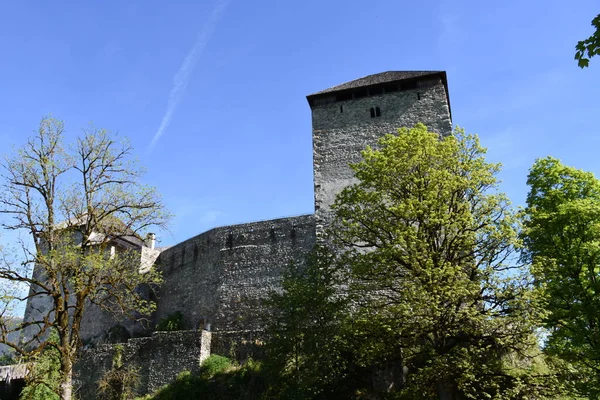 Kaprun Kaprun Castle Castle Castle Burgfried Castle Wall Tower Moat — Stock Photo, Image