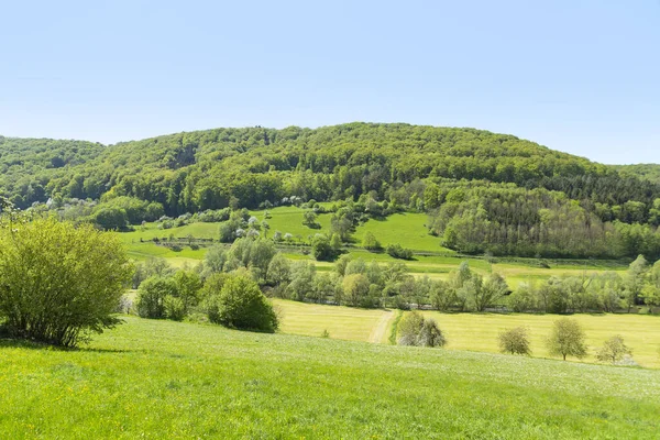 Sonnig Beleuchtete Idyllische Ländliche Frühlingskulisse Süddeutschen Hohenlohe — Stockfoto