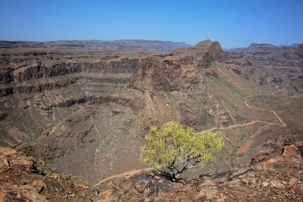 Gran Canaria Hegyek Nappal — Stock Fotó