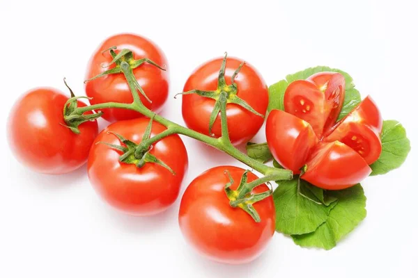 Fresh Tomatoes White Background — Stock Photo, Image