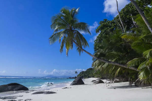 Silhouette Île Rêve Aux Seychelles — Photo