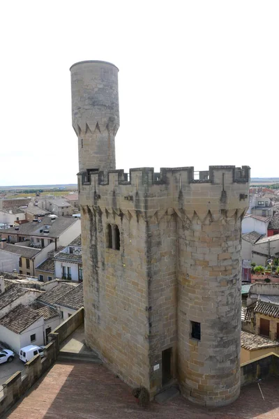 Espanha Olite Província Navarre Facades Casa Castle — Fotografia de Stock