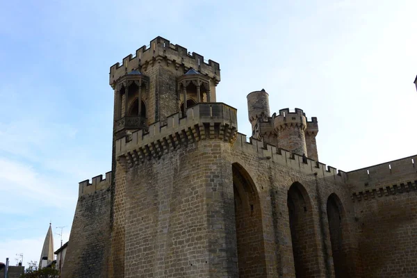 Spanyolország Olitország Navarriák Megjelenítése Háztartások Castle — Stock Fotó